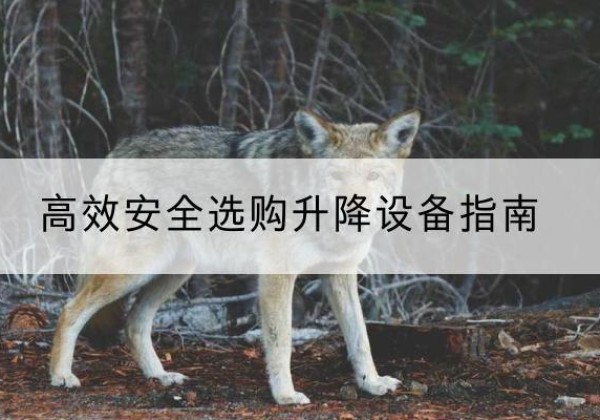 襄城升降货梯厂家推荐-*安全选购升降设备指南