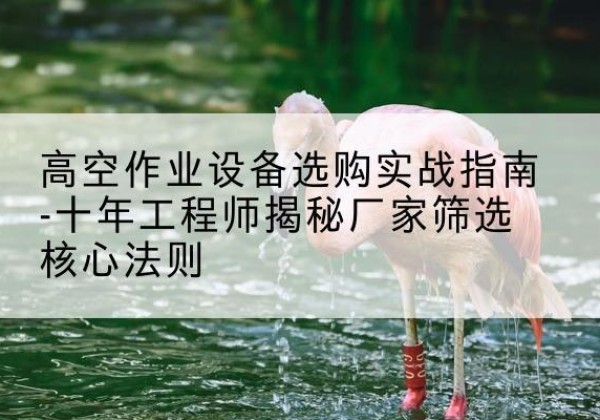 襄城剪叉式升降机厂家-高空作业设备选购实战指南-十年工程师揭秘厂家筛选核心法则